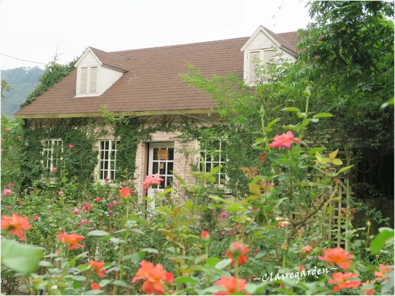 [閃點]桃園 玫瑰山谷。鮮花滿佈、手作木質家具、骨瓷杯牆