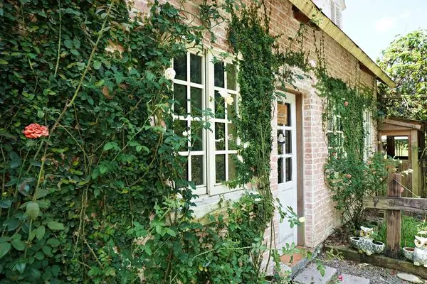 【玫瑰山谷】遠離塵囂大溪秘境小屋