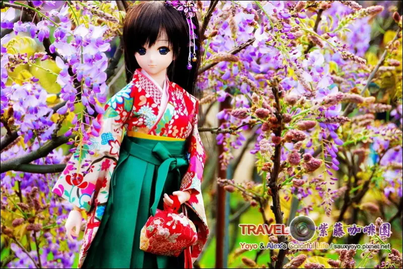 【台北】2015 淡水 紫藤咖啡園 (原咕咕鐘歐式花園) ~ 走入夢幻花園 漫步浪漫紫藤花海 