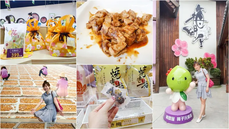 【嘉義觀光工廠】梅問屋 梅子元氣館 免費參觀 喝酸梅湯吃燒梅子 伴手禮