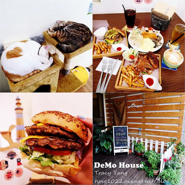 桃園┃DeMo House┃貓餐廳 早午餐