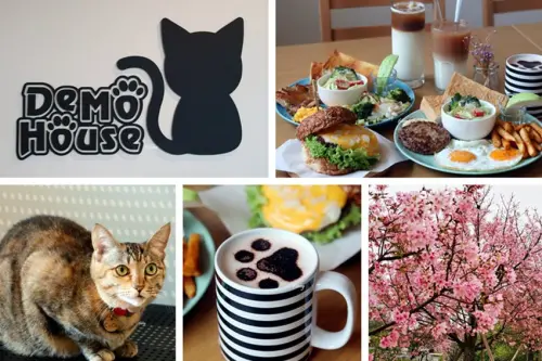 桃園美食 | DeMo House 戴莫好食屋 早午餐 寵物友善餐廳 檜溪(會稽)河濱公園賞櫻 - ifunny 艾方妮的遊樂場