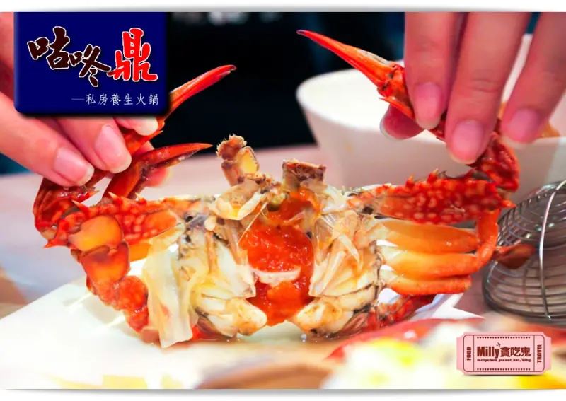 【高雄養生火鍋推薦】咕咚鼎私房養生火鍋。限量深海螃蟹鍋，滿滿蟹膏，滿意滿溢！