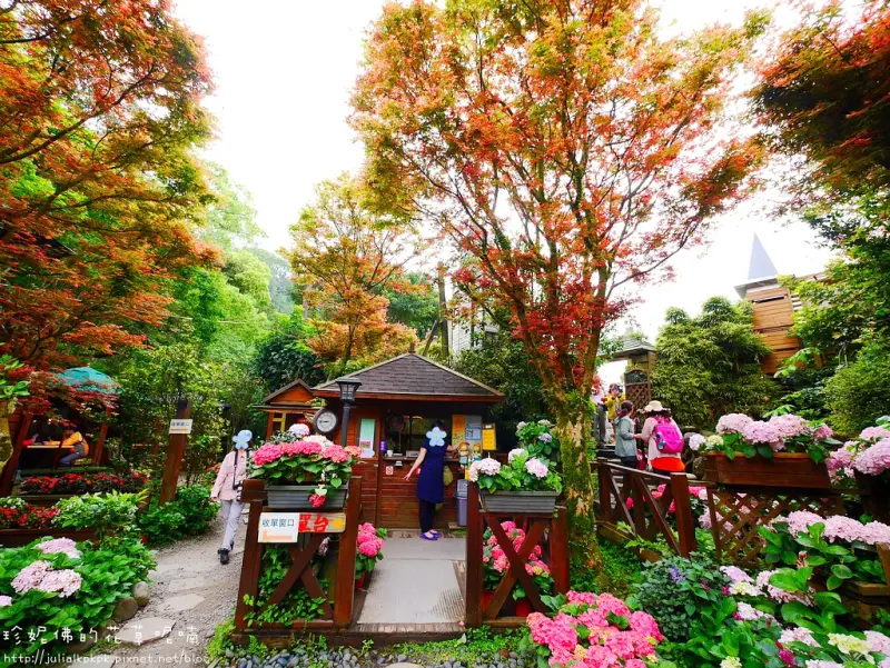 【台北-士林區】2017台北奧萬大楓葉紅了