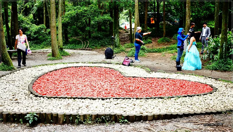 【黑森林】IG熱門打卡景點～偶像劇「聽見幸福」拍攝地，新人結婚必拍的雙心石滬，象徵心心相印／永結同心