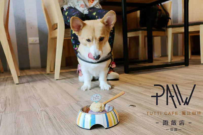 【羽諾食記】跑飯店(Tutti cafe圖比咖啡)❤寵物友善跟著毛小孩一起吃美食❤忠孝新生美式餐廳