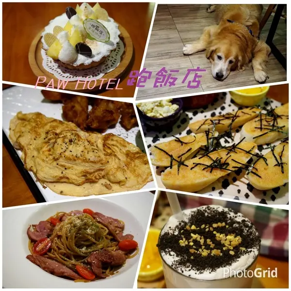 【忠孝新生美式餐廳】跑飯店 Paw Hotel 毛小孩的遊樂園        
      