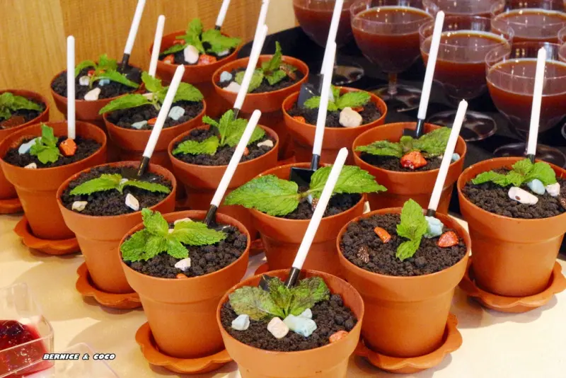 跑飯店Paw Hote超療癒的早餐早午餐(寵物餐廳)捷運新生站圖比咖啡濟南店