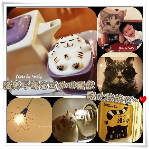 ╠桃園區。食記╣貓鼻子複合式咖啡餐飲~貓咪!舒服泡澡般〝躺〞在我的杯中萌煞我心,一整個尖叫也太融化了吧!!