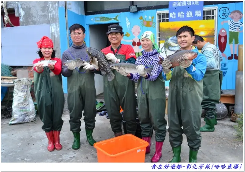 來彰化芳苑的"哈哈漁場"讓你現撈捕魚體驗一日漁夫的樂趣!!