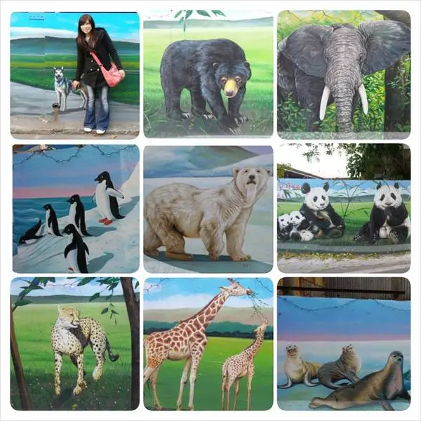 【高雄景點】後安動物園~栩栩如生的彩繪巷        
      