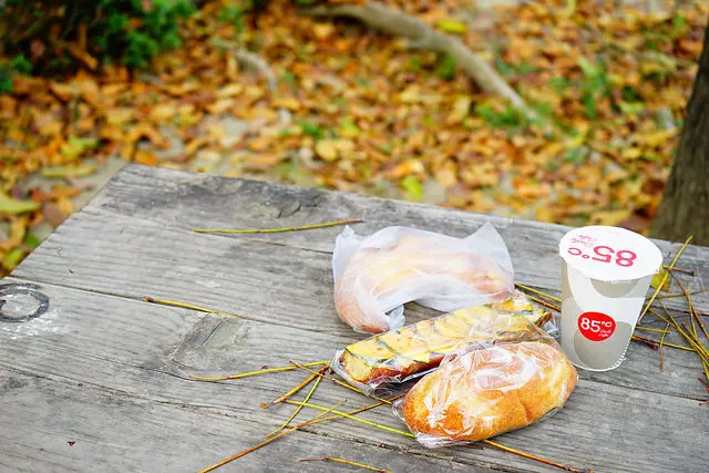 我的府城一日歐風生活  早餐~奶油鼻子麵包配東寧松鼠公園野餐×午餐~樂樂煎爆漿古巴三明治×晚餐~Daily Deli西式盒餐