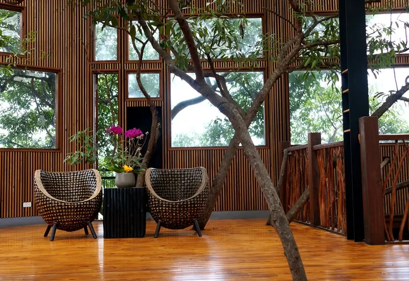 《南投》日式情人節大餐@埔里牛耳藝術渡假村雕之森樹屋餐廳(親子旅遊景點推薦)