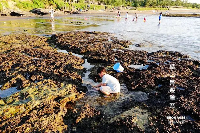 北海岸玩水景點 ▶ 麟山鼻遊憩區 ▶ 白沙灣旁親子玩水秘境 玩沙.抓螃蟹.觀賞潮間帶的小生物