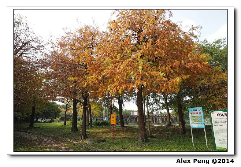 宜蘭-五結-阿德早午餐