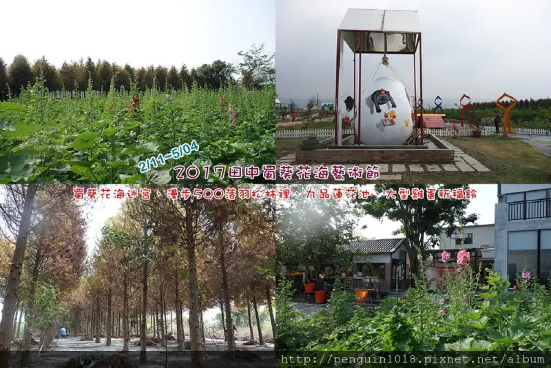 【田中窯陶藝】2017田中蜀葵花海藝術節；2萬棵蜀葵花海迷宮、黃金落羽松森林、雞蛋3D彩繪貓祈福鈴、九品蓮花池，親子同遊體驗文創之旅。