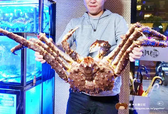 《新竹。竹北》川筵活蟹海鮮料理～活跳跳現撈帝王蟹、波士頓龍蝦，精緻合菜海鮮大餐等你來！