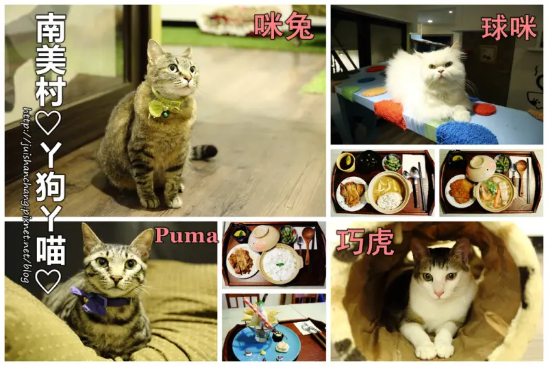 【食║桃園】南美村ㄚ狗ㄚ喵〜寵物友善餐廳。與毛小孩一起品嘗美食