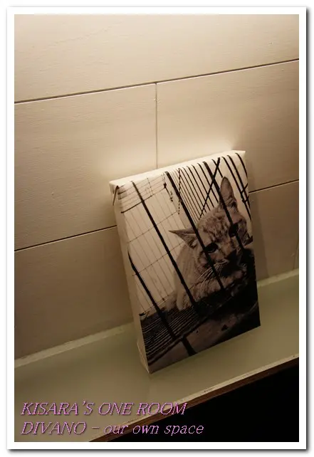 東區平價午茶──DIVANO              