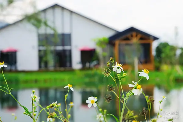 花蓮民宿推薦.穗花田~~瑞穗鄉間耀眼的珍珠，民宿內的湖景迷人