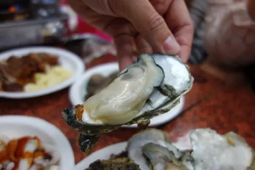 猛嘎海鮮燒物 捷運江子翠站推薦美食，堅持新鮮原味當天現進現賣的平價海鮮燒烤店