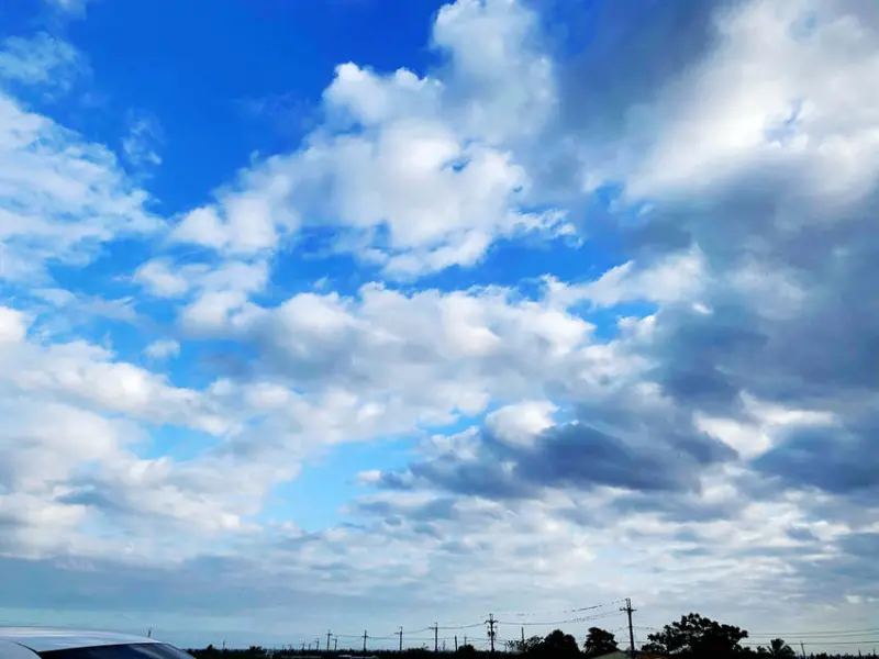 【遊記】台東-自由行║三天兩夜➽DAY2