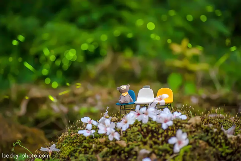 【台中】。新社白毛台．頭櫃黃光螢火蟲浪漫飛舞著！becky帶你走一趟『新社桐花螢火蟲秘境』