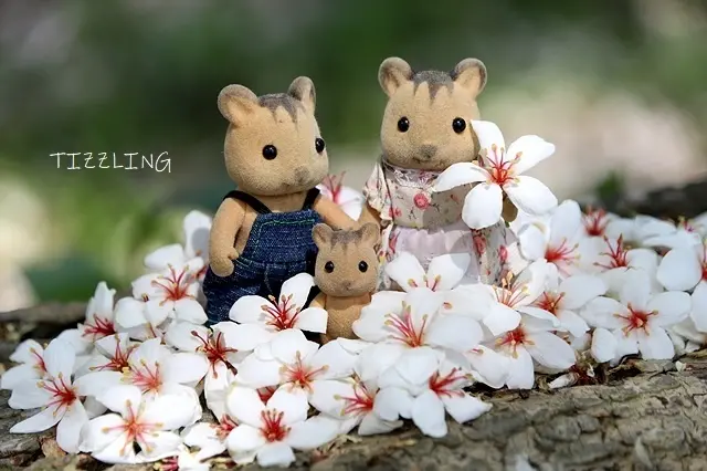 2021桃園龍潭甘家堡賞桐花趣｜2021桃園客家桐花祭～