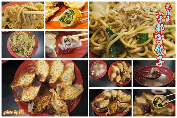 桃園市桃園區 [宇都宮餃子] 爆紅!!日式九層塔豚燒餃子        
      