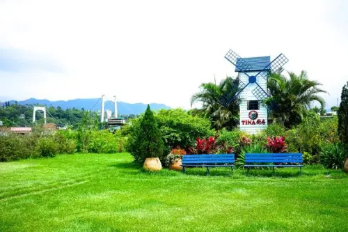 『美食』桃園大溪 蕃薯籐 tina有機廚房 新鮮麵包 排餐 健康無毒好概念