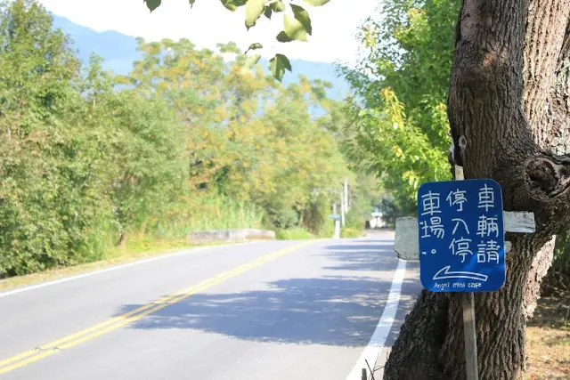 〔食〕台東。鹿野。坐擁綠色隧道的香醇 / Angel Mini Cafe