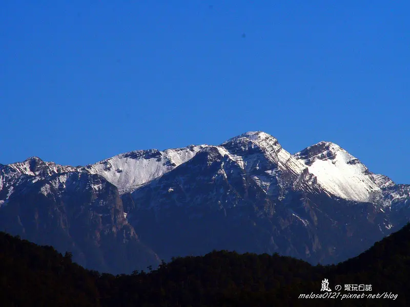 【新竹】侏儸紀時期活化石四隻腳的魚與千年巨木 觀霧國家森林遊樂區 
