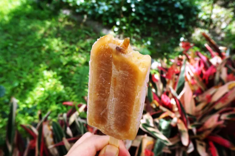 鯉魚潭賞景 vs 埔里農會酒莊 - 紹興米糕枝仔冰              