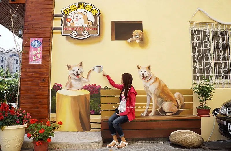 【台中沙鹿】秋田武咖啡 - 秋田武專有彩繪牆.沙鹿再一漂亮彩繪牆.秋田界的金城武.聽得懂日文的店狗小武TAKE.可拍照不要觸碰到身體喔