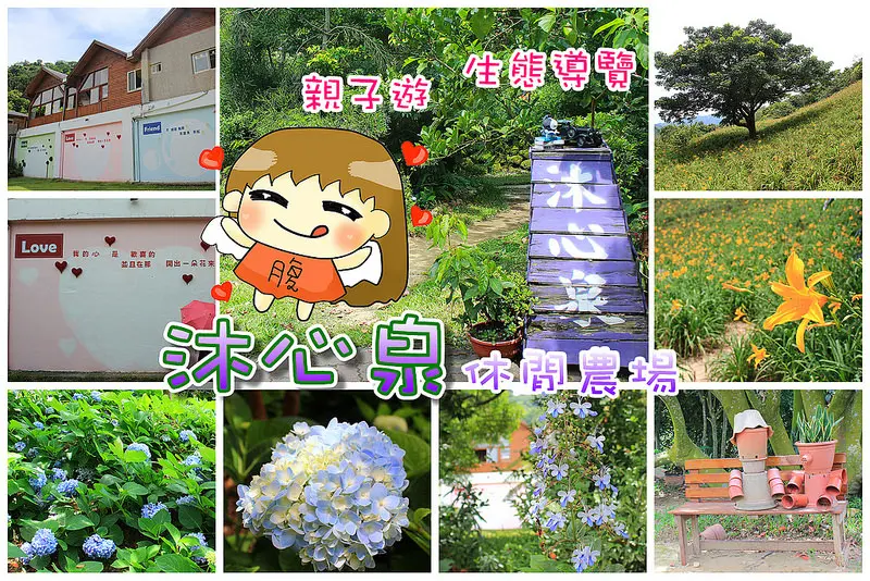 【台中｜親子遊】沐心泉休閒農場，繡球花、金針花季開跑囉，生態導覽，尋找獨角仙。