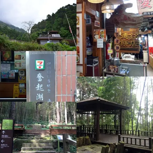 來個森林浴，洗去生活煩惱~