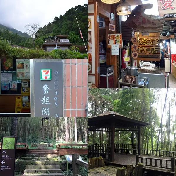 來個森林浴，洗去生活煩惱~