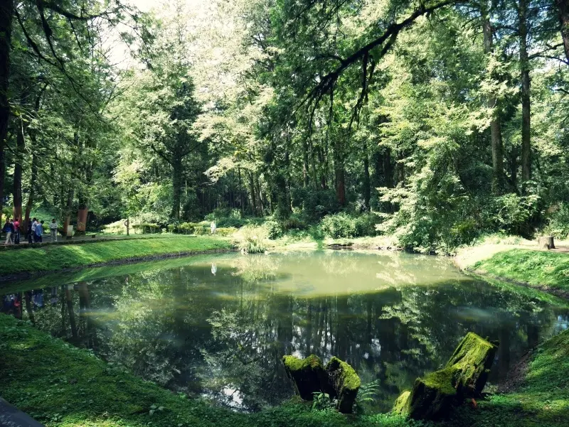 【南部親子旅遊】Day1消暑必去的親子旅遊景點－嘉義阿里山-日式風味住宿「奮起湖大飯店」順道遊阿里山森林遊樂區、天長地久橋、奮起湖鐵路便當、奮起湖老街、台灣杉森林棧道、百年肖楠樹林、世紀森林鐵路之旅