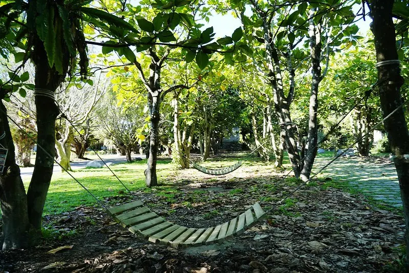 【台灣，花蓮縣，壽豐鄉】因收養老樹而蓋的花蓮怡園渡假村，這裡綠意盎然富含故事，是個讓人放鬆的好地方。
