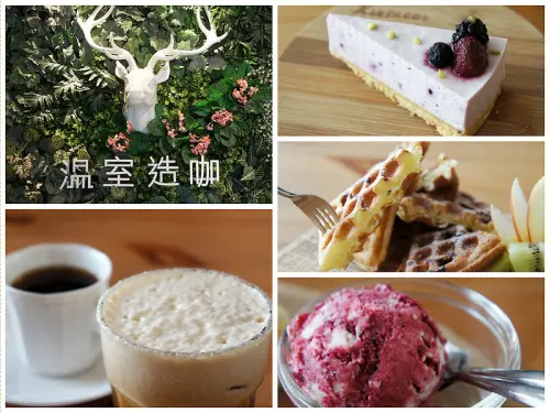 【高雄咖啡】温室造咖│最中女孩兒的少女心│浪漫情懷約會咖啡