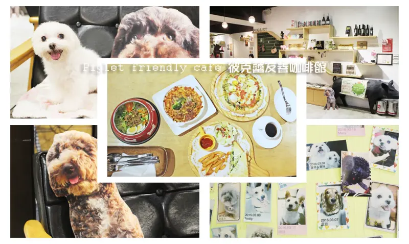 食記◎--【公館 台大】Piglet friendly cafe 彼克蕾友善咖啡館。以豬為主題的台北友善寵物餐廳/歡迎毛小孩