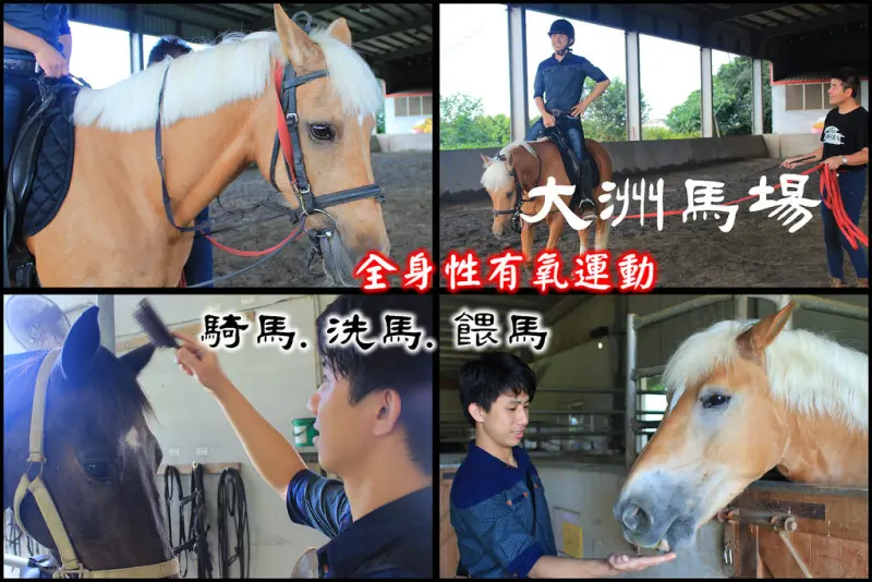 【宜蘭｜特殊旅遊景點】大洲馬場，最新雕塑身型的運動法，餵馬騎馬站著騎馬，白馬王子來也！