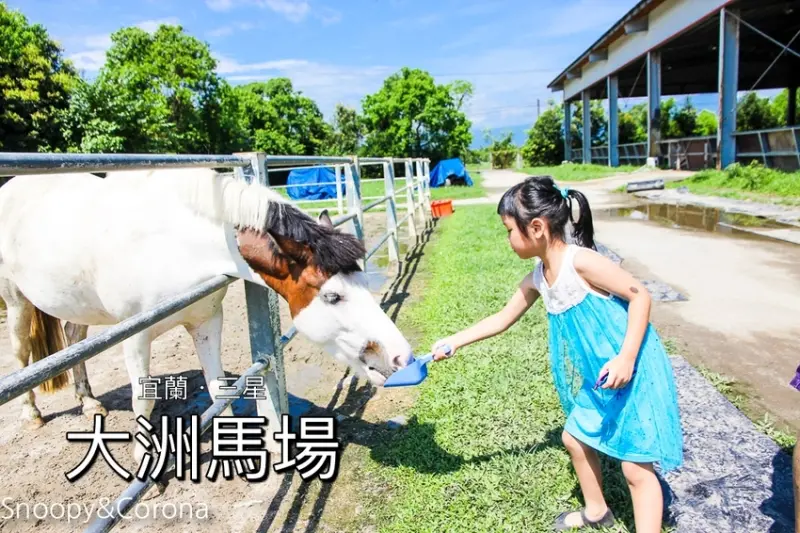 【宜蘭景點】三星親子景點／大洲馬場～體驗騎馬與餵馬，餵馬只需銅板價