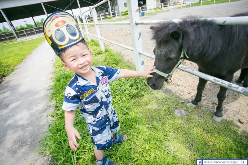 【宜蘭三星】大洲馬場-騎馬、餵馬、摸馬，多種與馬兒的親密接觸一次滿足!