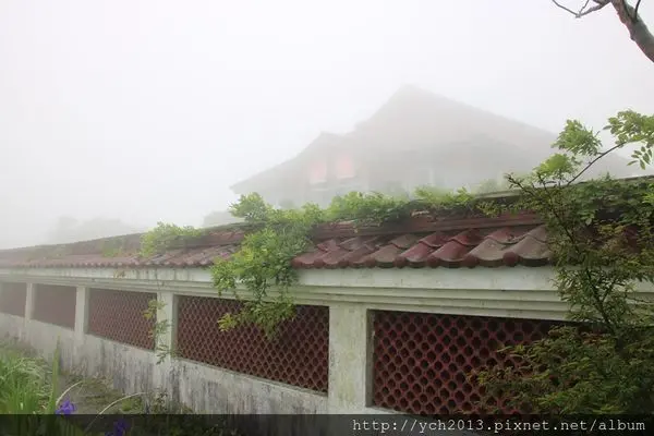 2019竹子湖頂湖小鎮用餐、大賞園賞繡球花