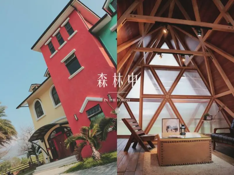 【花蓮住宿首選】森林中民宿》網紅、閨蜜超愛！親子＆寵物友善｜特色平價旅館