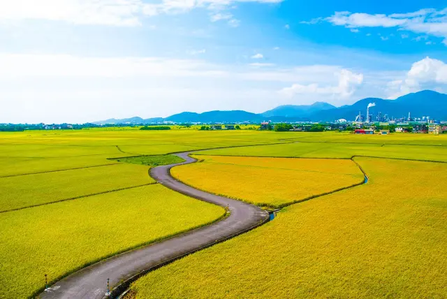 冬山三奇村S彎道