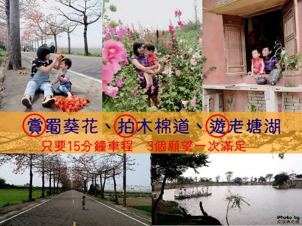 【台南學甲區 x 老塘湖藝術坊】15分鐘車程、賞花賞湖賞美景、3個願望一次滿足