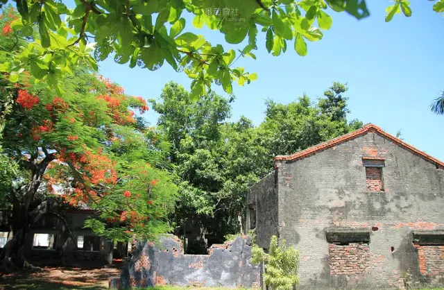 高雄。湖內。夏日的離別光景 / 蕃茄會社