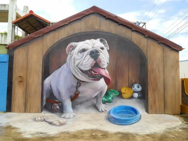 ◆【彰化彩繪新亮點】超吸睛的『鬥牛犬彩繪牆』，出現在彰化竹塘鄉長安國小校園裡！